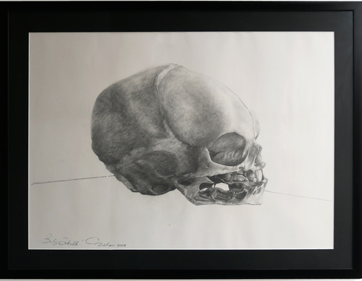 David NICHOLSON - Zeichnung Aquarell - Baby Skull