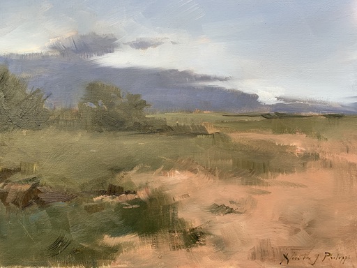 Nicky PHILIPPS - Gemälde - African landscape