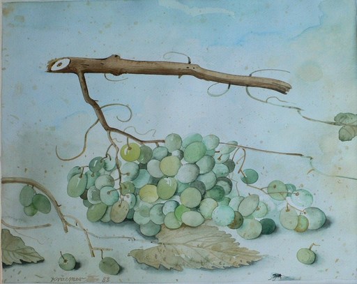 Dieter KRAEMER - Dibujo Acuarela - Le raisin et la mouche