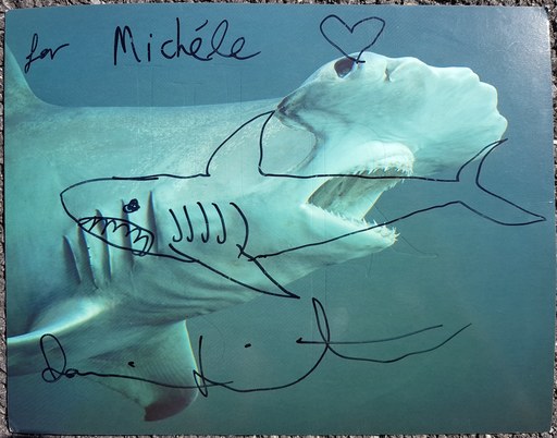 Damien HIRST - Zeichnung Aquarell - Shark