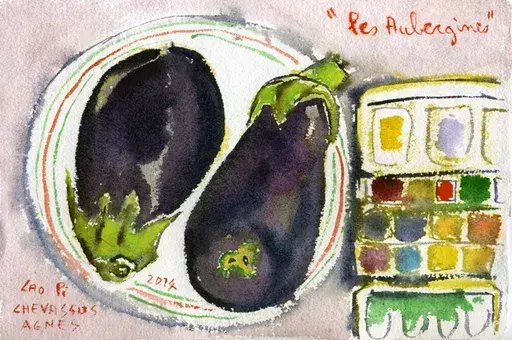 Jean-Pierre CHEVASSUS-AGNES - Dibujo Acuarela - aubergines de FRANCE, boite d'aquarelles (2)
