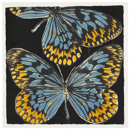 Donald SULTAN - Estampe-Multiple - Butterflies, Jan. 25, 20,