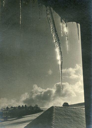 André STEINER - Photo - Icicles