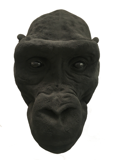Stefano BOMBARDIERI - Scultura Volume - Testa gorilla / sguardo monumental
