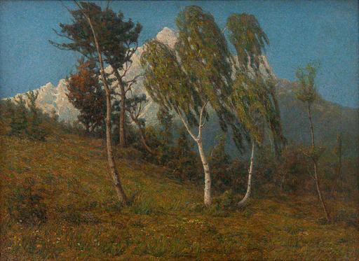 Aldo VALTOLIN - Painting - Paesaggio montano