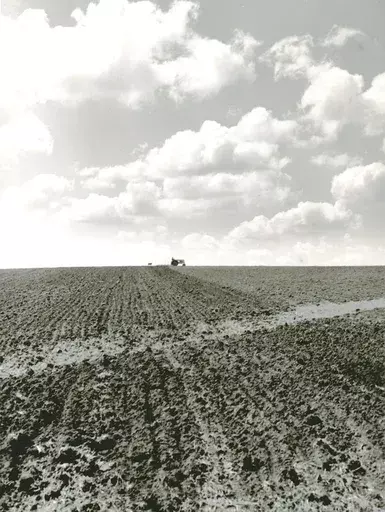 John VACHON - Fotografie - Collie dog follows farm boy on tractor, back and forth all d