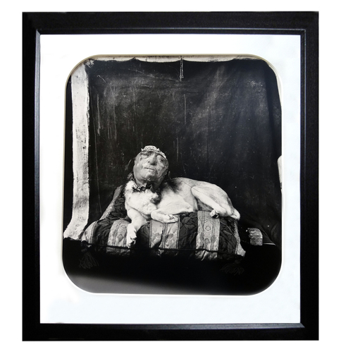 Joel-Peter WITKIN - Fotografia - Dog on a pillow. Marseille