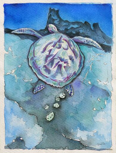 Gaelle BEYAERT - Drawing-Watercolor - La tortue lutte