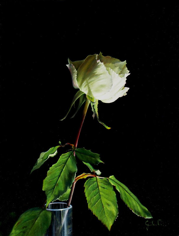Riccardo GIRAUDO - Gemälde - Rosa bianca