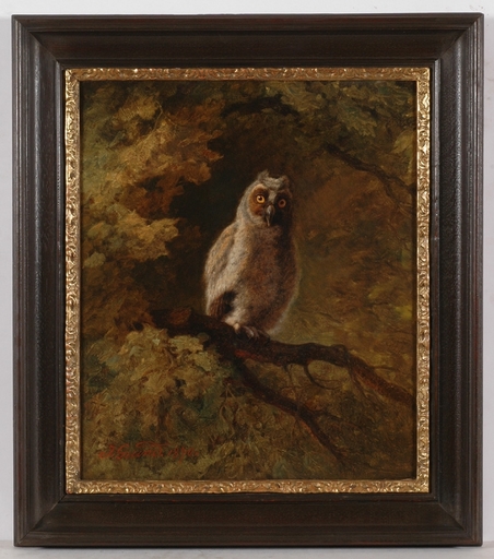 Johann GRUND - Painting - "Owl", 1870, Oil on Canvas