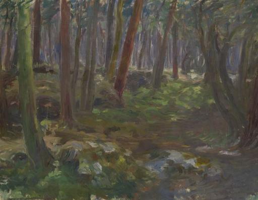 Constantin KOUSNETSOFF - Gemälde - The Forest