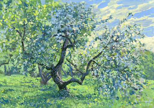 Simon L. KOZHIN - Painting - Apple tree in bloom. Kolomenskoye