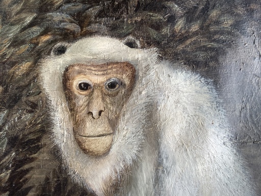 Maria ANTO - Painting - White Ape