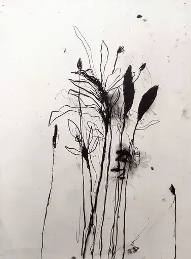 Robert BARIBEAU - 水彩作品 - In the weeds ink bloom #6
