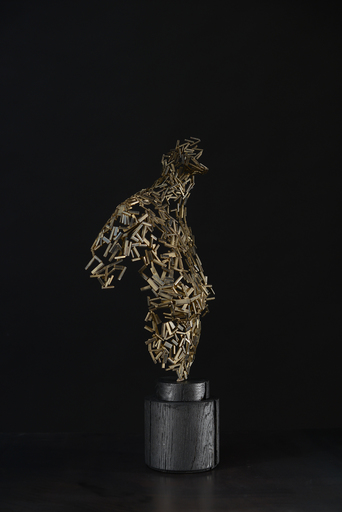 Nicolas DESBONS - Skulptur Volumen - Naked Lace Alea