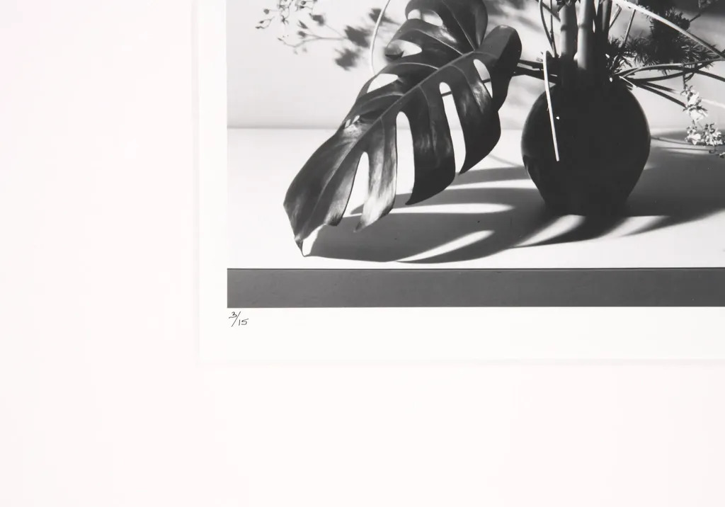 Robert-MAPPLETHORPE-Flower-