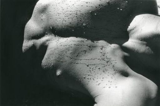 Ernestine Winston RUBEN - Fotografia - Black Tit in Water