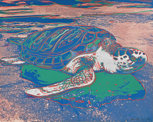 Andy WARHOL - Stampa-Multiplo - Turtle (FS II.360A)