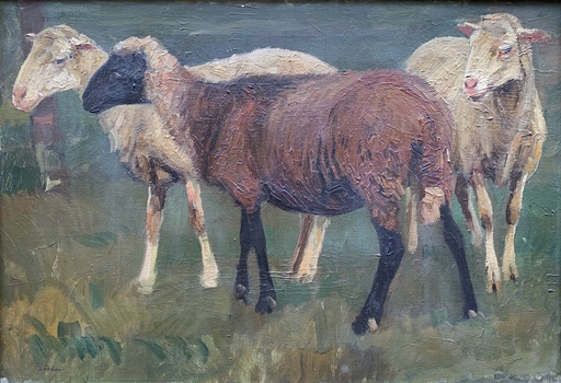 Ruggero PANERAI - Peinture - Pecore