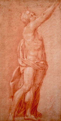 PIETRO DA CORTONA - Drawing-Watercolor - Male Nude