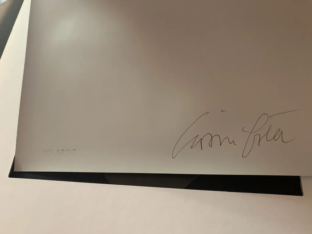 Masks and Ghosts　Giovanni Gastel Polaroid by | Giovanni GASTEL | buy art online | artprice