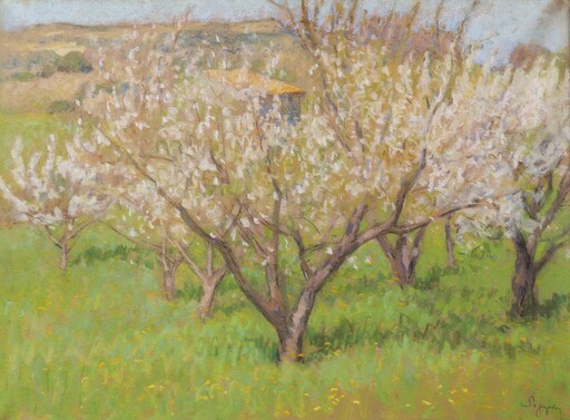 Marcel Dominique POGGIOLI - Disegno Acquarello - Cerisiers en fleurs en Provence