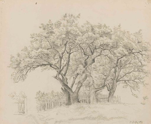 Emilie MEDIZ-PELIKAN - Zeichnung Aquarell - Obstbäume, 1883
