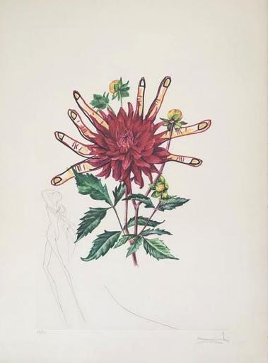 萨尔瓦多·达利 - 版画 - Dahlia Rapax - Surrealistic florals
