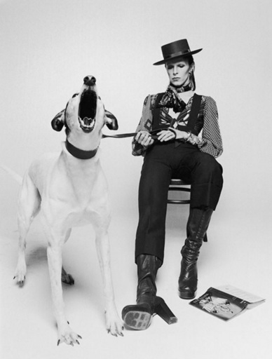 Terry O'NEILL - Fotografia - David Bowie with Jumping Dog (view 2)