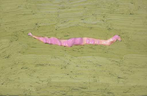 Natasha KORETS - Painting - Pink Worm