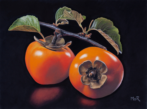 Dietrich MORAVEC - Zeichnung Aquarell - Two Persimmons on a Twig