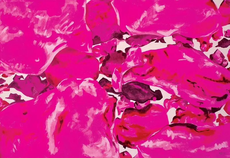 aleksandra vasovic - disposition of fluorescent pink rose petals