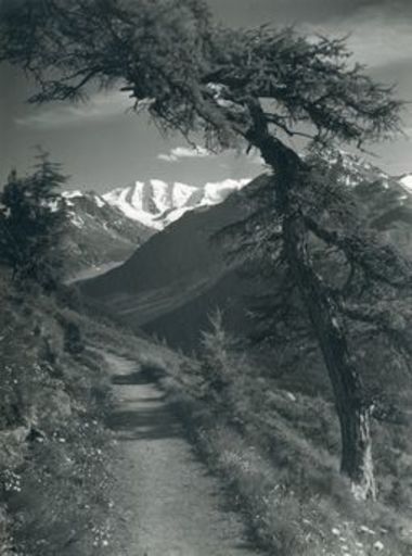 Bartolome SCHOCHER - Fotografia - Höhenweg zu Piz Palü