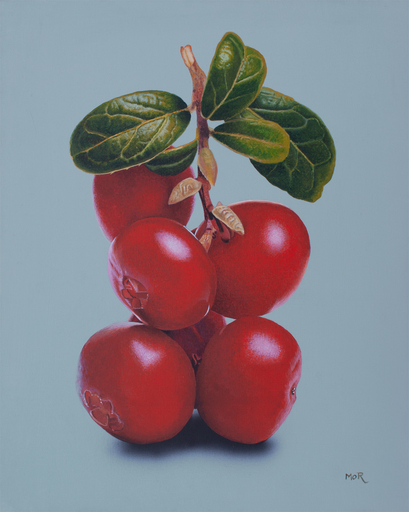 Dietrich MORAVEC - Painting - Cranberry Twig