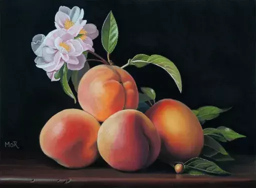 Dietrich MORAVEC - Dibujo Acuarela - Peach Blossom Magic