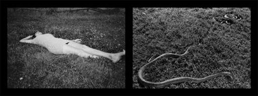 Miguel RIO BRANCO - Photo - Snake Dream