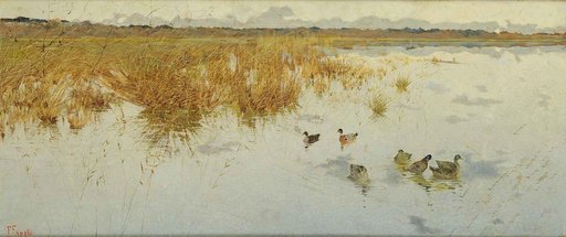 Francesco FANELLI - Gemälde - Anatre sul lago