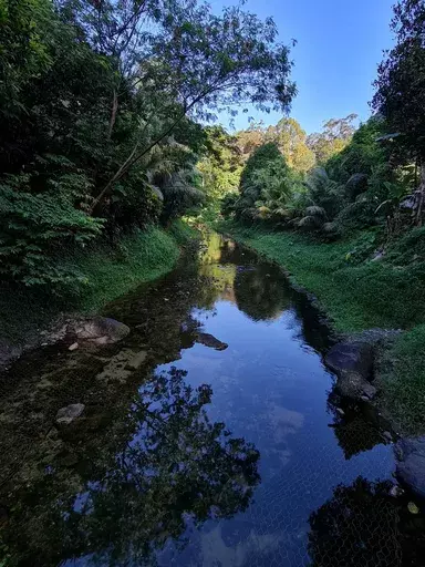 Jess HON - Fotografie - Scenic View of a Beautiful Stream