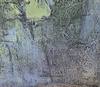 Shu TANAKA - Gemälde - Pays isolé