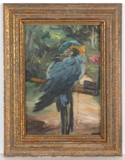 Paul KAPELL - Pittura - Paul Kapell (1876-1943) "Parrot" oil on canvas, 1920/30s