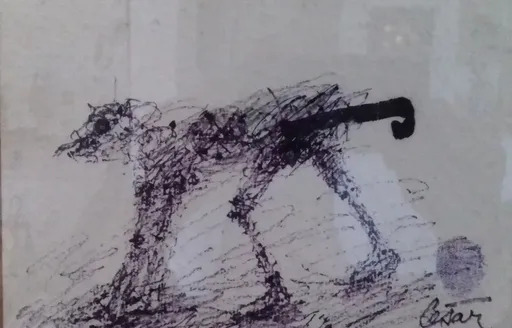 CÉSAR - Drawing-Watercolor - Marsipulami