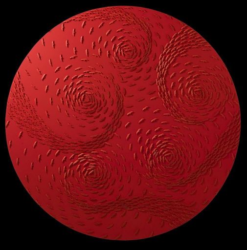 Riccardo GUSMAROLI - Pintura - Vortice Rosso