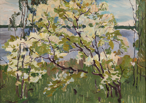 Victor ROZIN - Painting - Bird cherry-spring