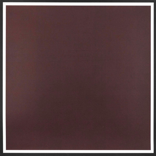 Sol LEWITT - Print-Multiple - Colors with Lines in Four Directions, Within a Black Border 