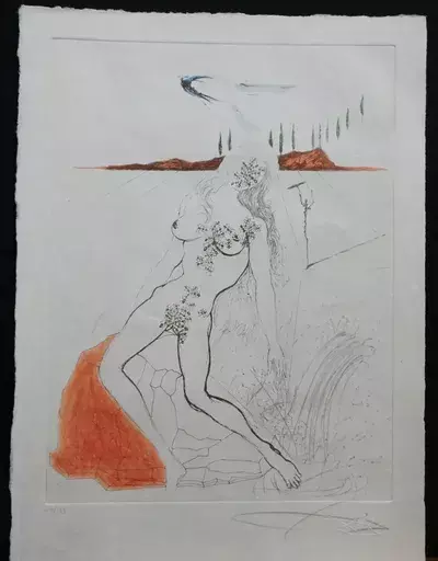 萨尔瓦多·达利 - 版画 -  Poems Secrets Nude at The Fountain