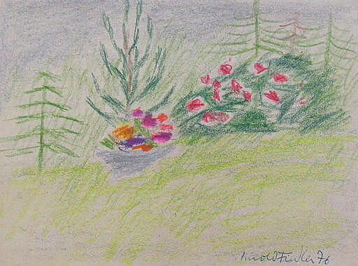 Arnold FIEDLER - Drawing-Watercolor - Blumenbeete und Tannenbäume