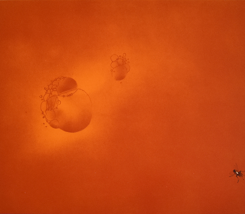 Ed RUSCHA - Print-Multiple - Boiling Blood, Fly
