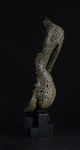 Nicolas DESBONS - Skulptur Volumen - C Bronze