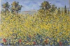 Michele CASCELLA - Pittura - paesaggio con ginestre 