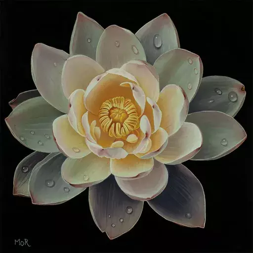 Dietrich MORAVEC - Dibujo Acuarela - Lotus Mystery